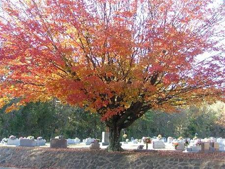 cemetery